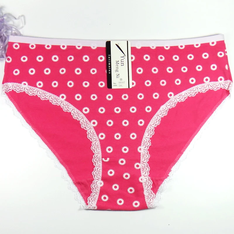 www.bagssaleusa.com : Buy sales womens underwear plus size xxl 4xl underpants woman briefs women ...