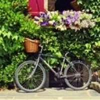 Bicycle In Front Of Wall Covered With Plants And Flowers  Rochefort En Terre  France Poster Print (18 x 7)