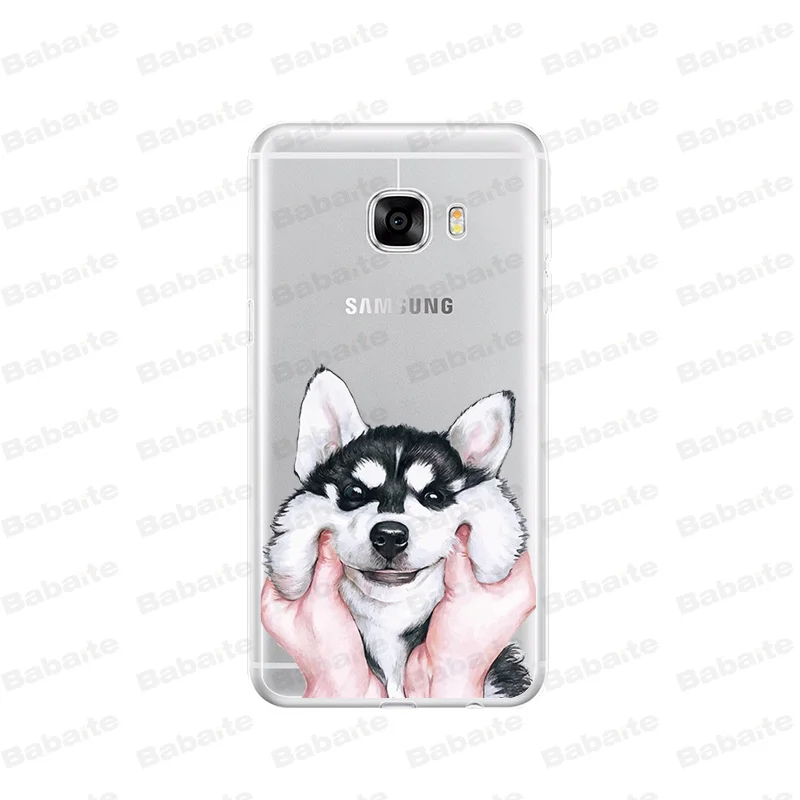 Cute  French Bulldog cartoon dog and cat