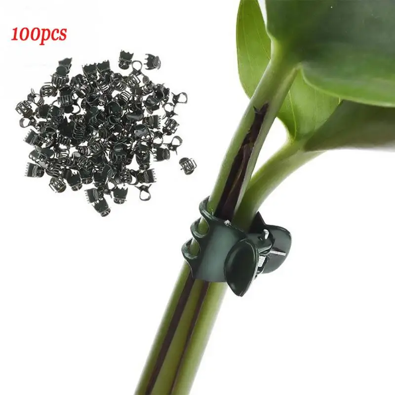 

100Pcs Non-toxic Eco-friendly Plastic Protect Stem Orchid Clips Garden Tools