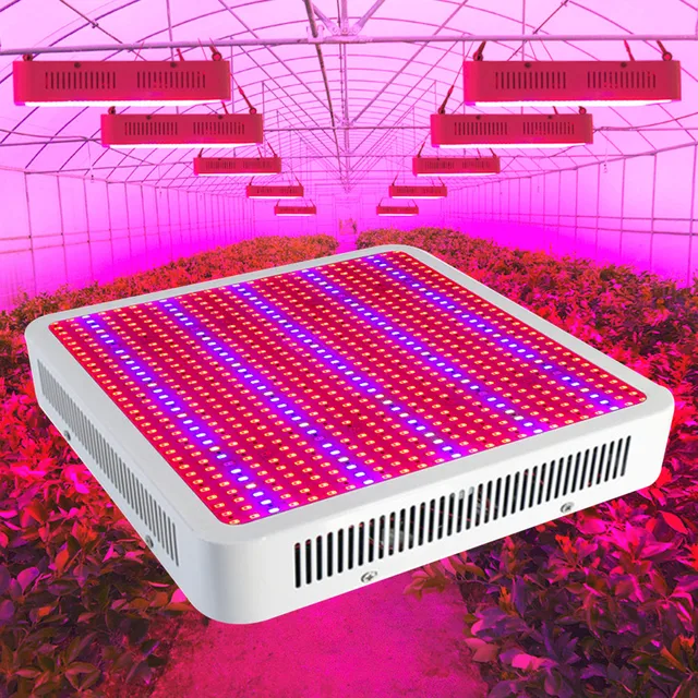 Full Spectrum 800W LED Grow Lights 800 SMD5630 LED Plant Lamp For Greenhouse Hydroponic