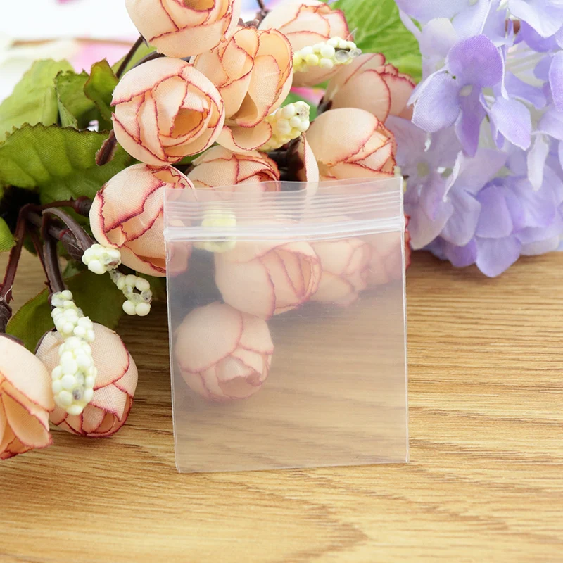 1000pcs/lot Small Ziplock jewelry bags Self sealing zip lock plastic bags Transparent PE Bags