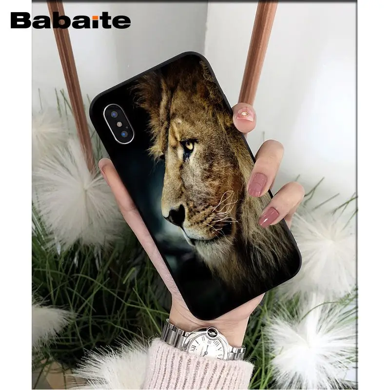 Animals lion