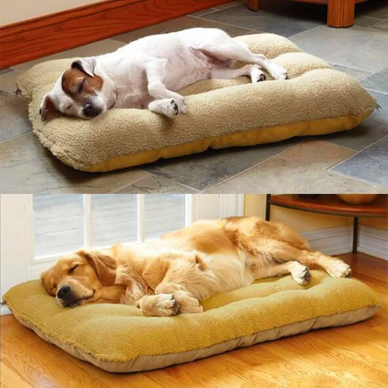 

Lekexi Fully Washable Pet Dog Mat Kennel Cushion Lambskin Dog Hand Wash Golden Cat Large Pet Nest Kennel Dog Mats Soft Puppy Bed
