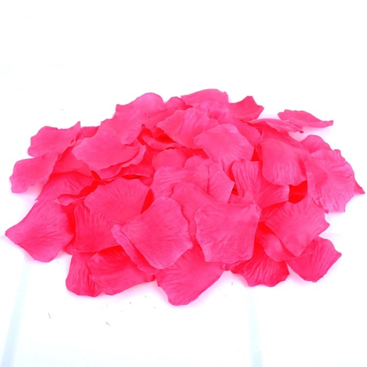 HTB1qrQXMpXXXXX8XVXXq6xXFXXXL