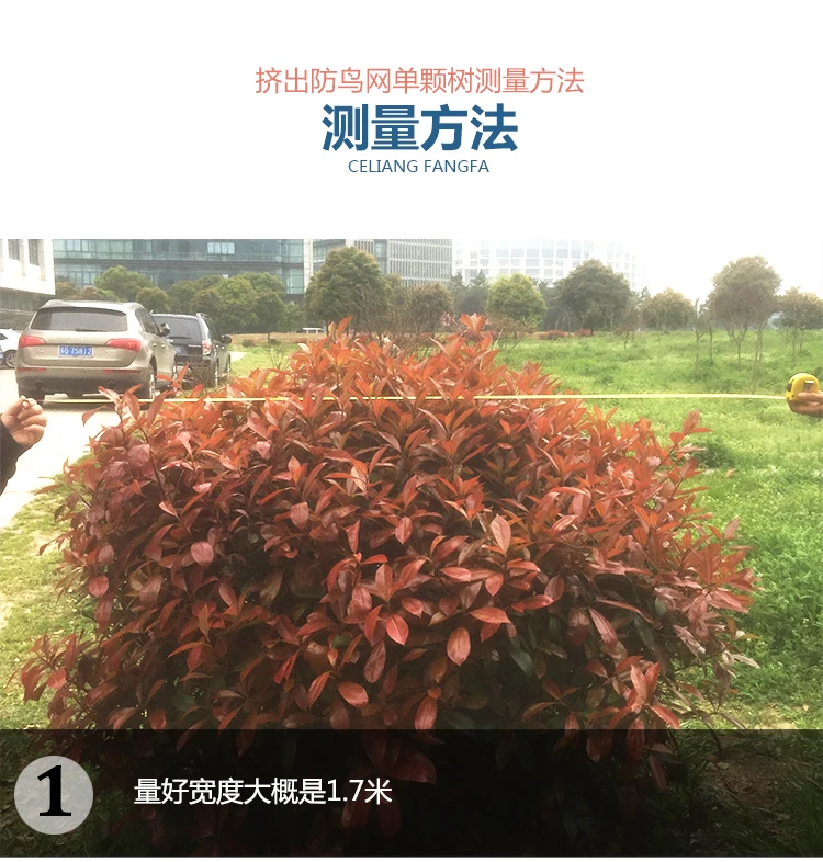 2x3 м садовая защищенная от птиц защитная сетка для экструзии одного фруктового груша инжир loquat Вишневый сад