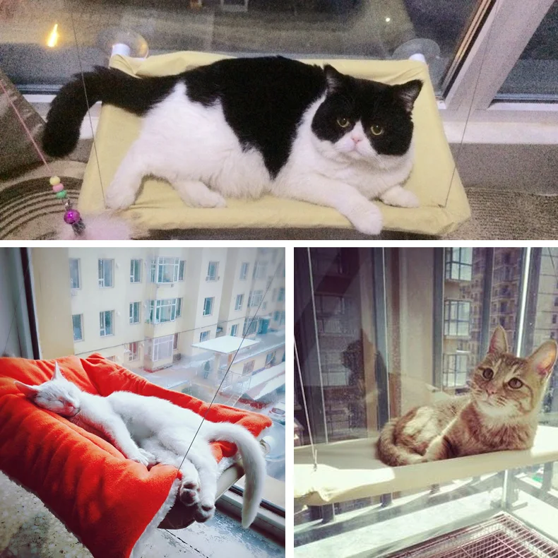 Window bed frame sofa cushion lazy squid cushion frame cat hammock bed shade rack with suction cup Chinchilla