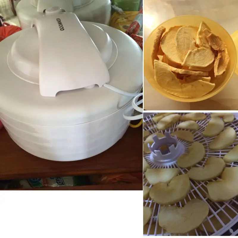 vegetables and fruits dryer
