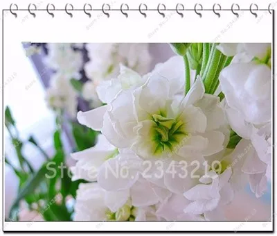 03DC02E4A9AAF163456F0835EB6C2353