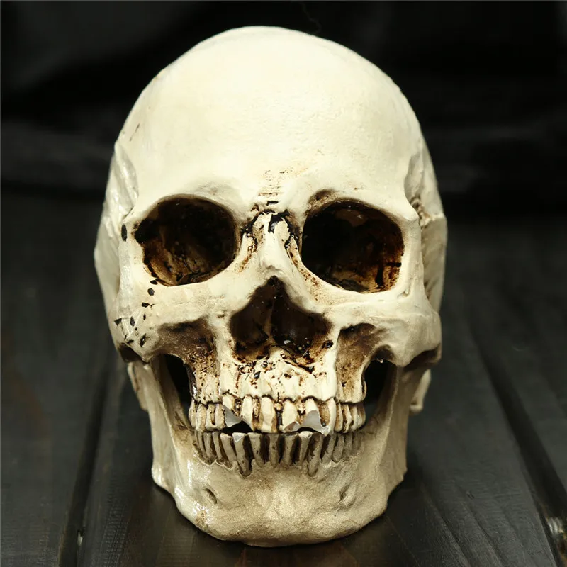 

Halloween Taro Props Bar Haunted House Room Escapes Decoration Horror Scary Decorative Human Skull Resin Trumpet Craft Skull