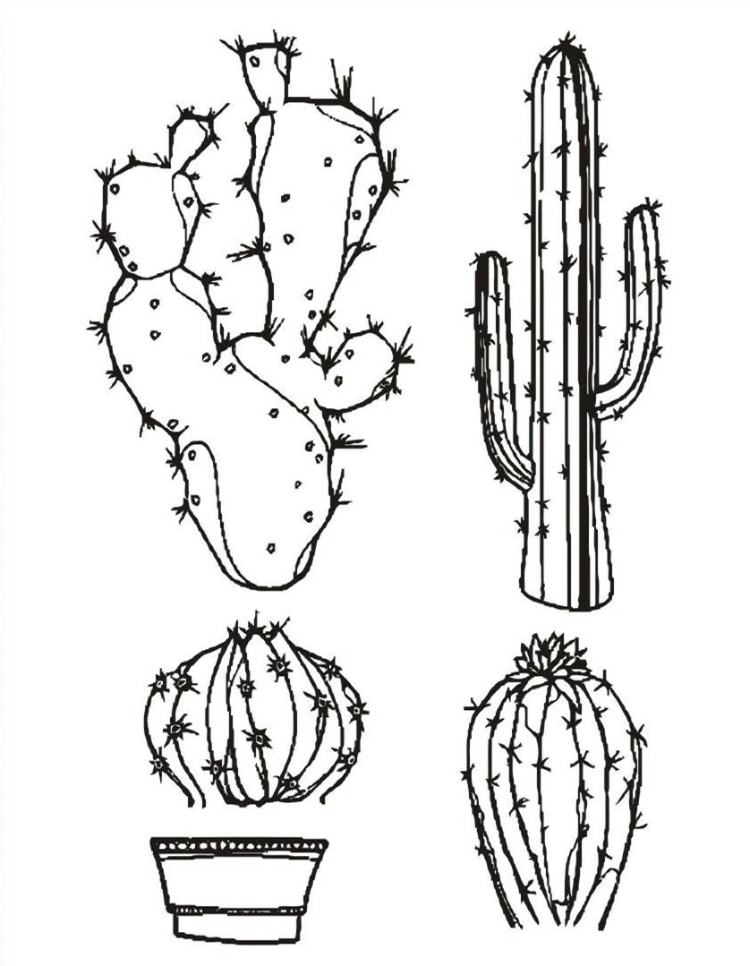 4_(2)