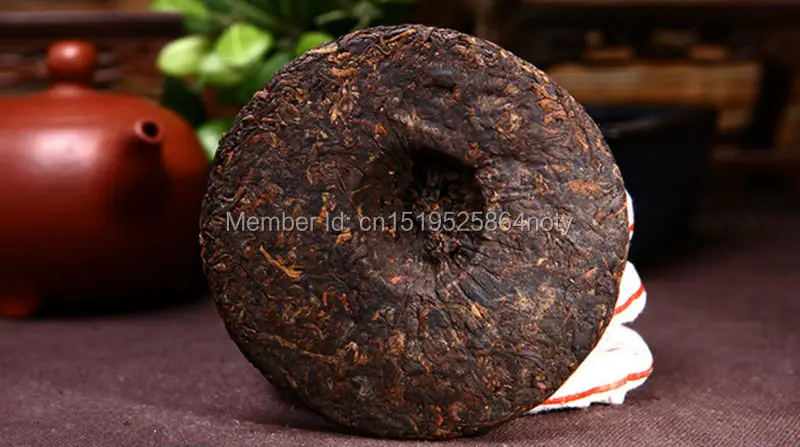PUER-22-100 (3)
