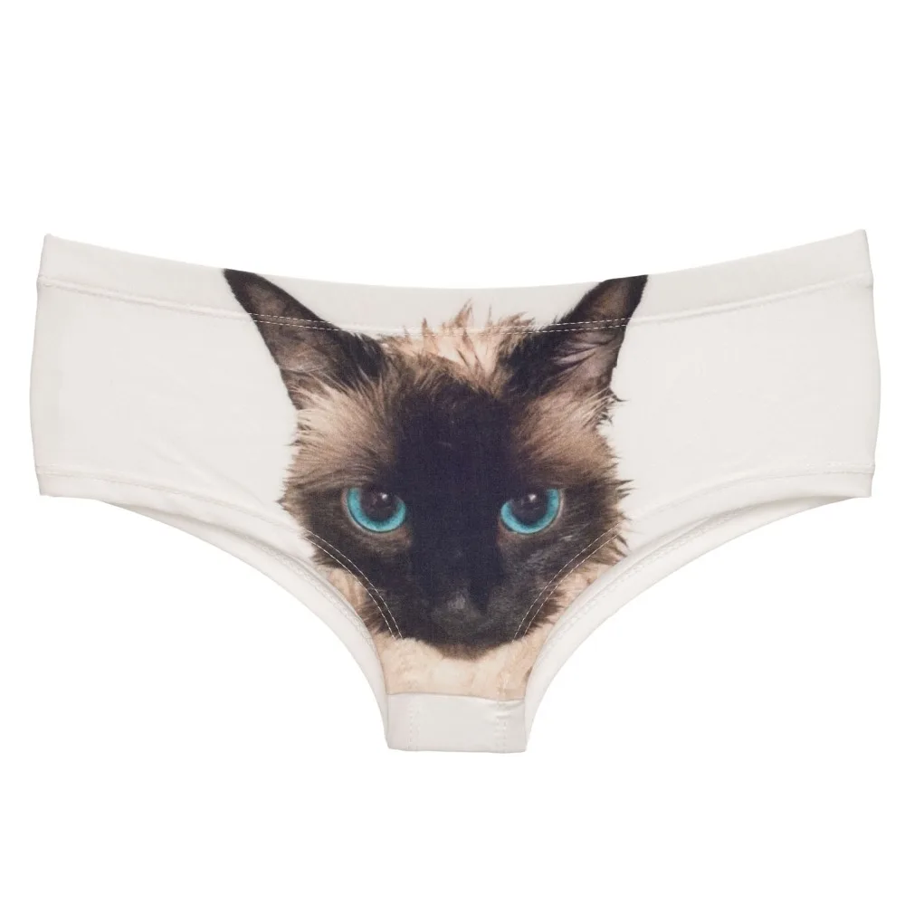 37065 WET CAT (3)