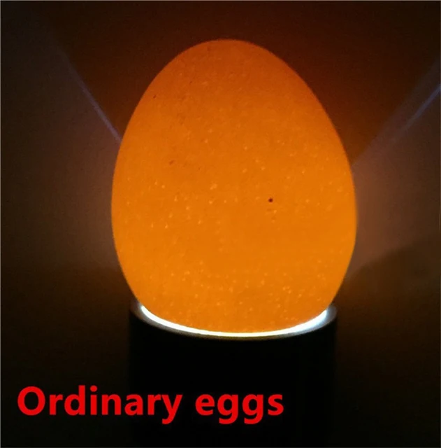 Incubator Eggtester Egg Candling Lamp 9 LED Super Cold Incubation Equipment Chicken Tool  LED Eggtester Egg Light 1Pc 5