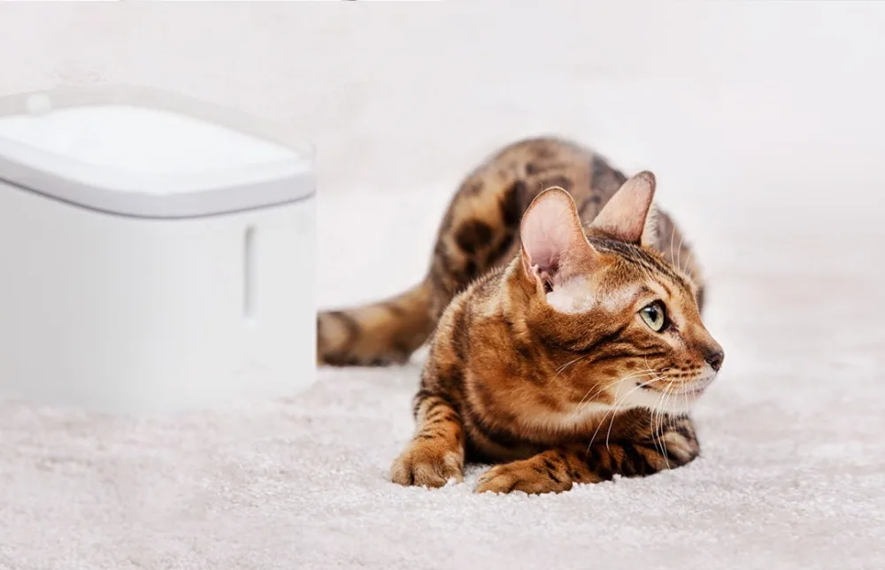 Xiaomi Youpin котенок, щенок, домашнее животное диспенсер для воды кошка диспенсер для воды 2л домашний электрический фонтан автоматический умный питомец