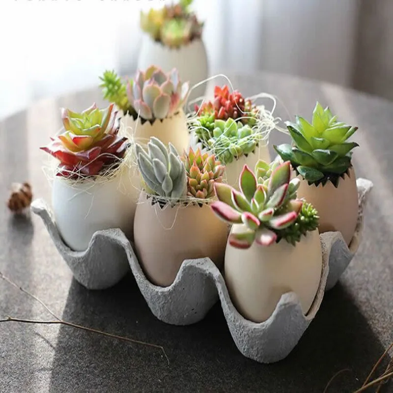 

creative egg shape vase 6 pcs eggs and 1 pcs Egg equipment for succulent plants christmas gifts