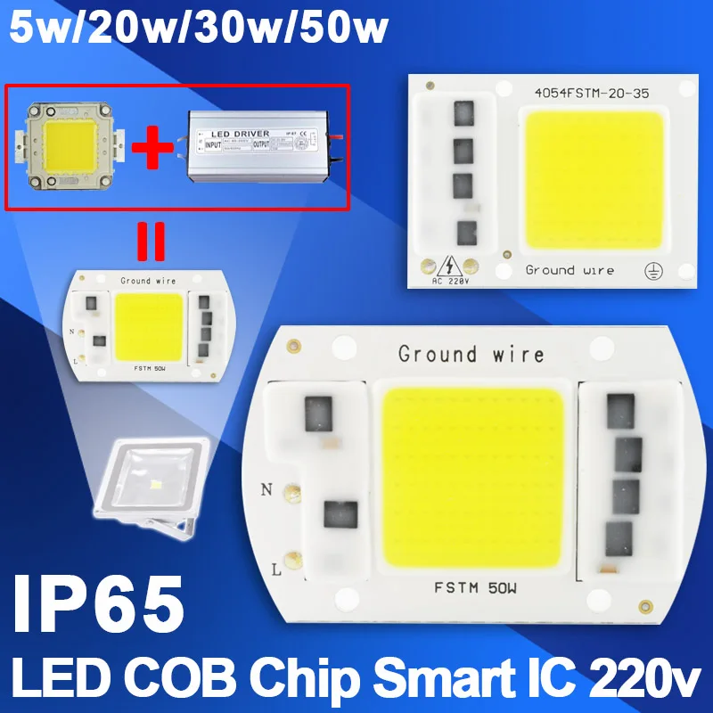 

10Pcs COB LED Lamp Chip 5W 20W 30W 50W LED COB Bulb Lamp 220V IP65 Smart IC Driver Cold Warm White LED Spotlight Floodlight Chip