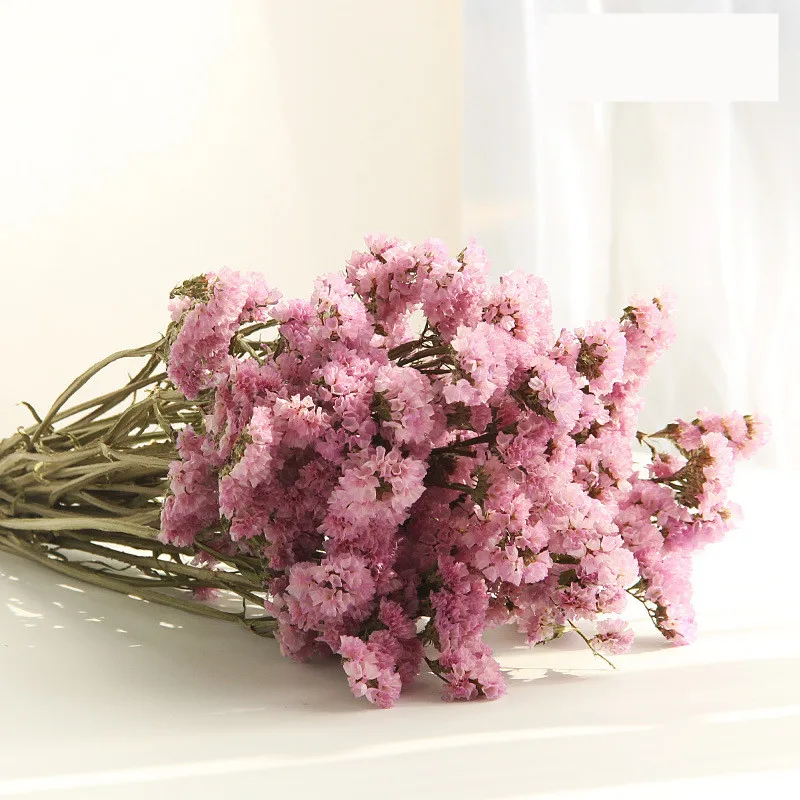 Preserved Fresh Dried Forgetful flowers Branch For Wedding Home Party Holiday Decorate DIY Bouquet Project Accessory SAD70 (5)