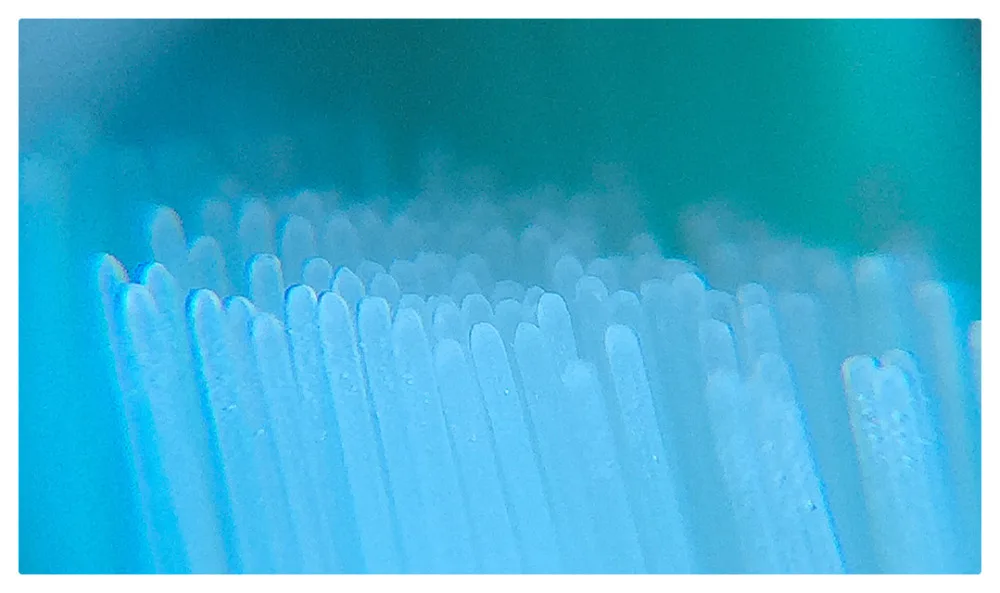 brush head-details