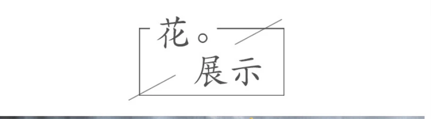 5_