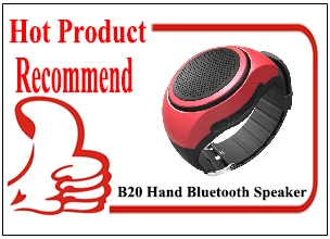 b20