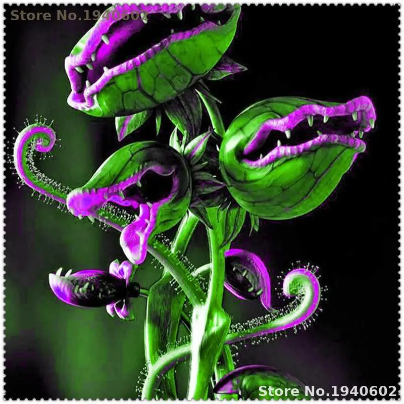 100 pcs Potted Insectivorous Plant bonsai Dionaea Muscipula Giant Clip Venus Flytrap bonsai For Home Garden Free Shipping 100 pcs Potted Insectivorous Plant bonsai Dionaea Muscipula Giant Clip Venus Flytrap bonsai For Home Garden Free Shipping