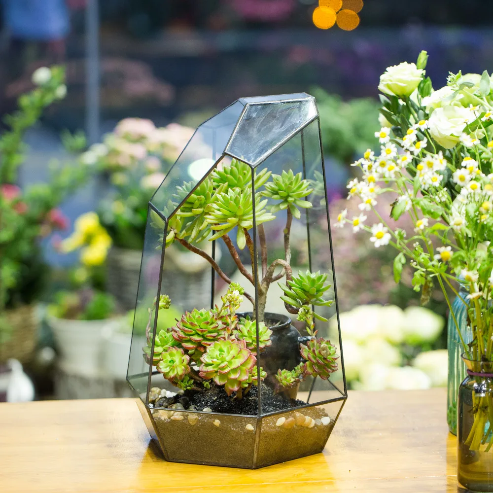 Ncyp irregular vaso de flores de vidro para suculentas vidro geométrico terrário diy samambaias musgo bonsai em miniatura decoração da sua casa