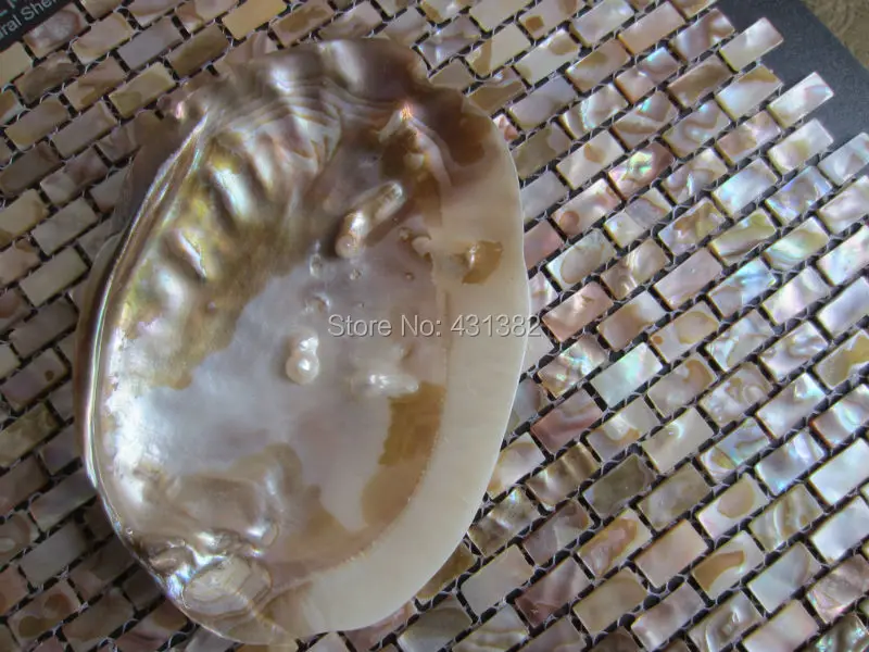 Shell mosaic tilesmother of pearl mosaic