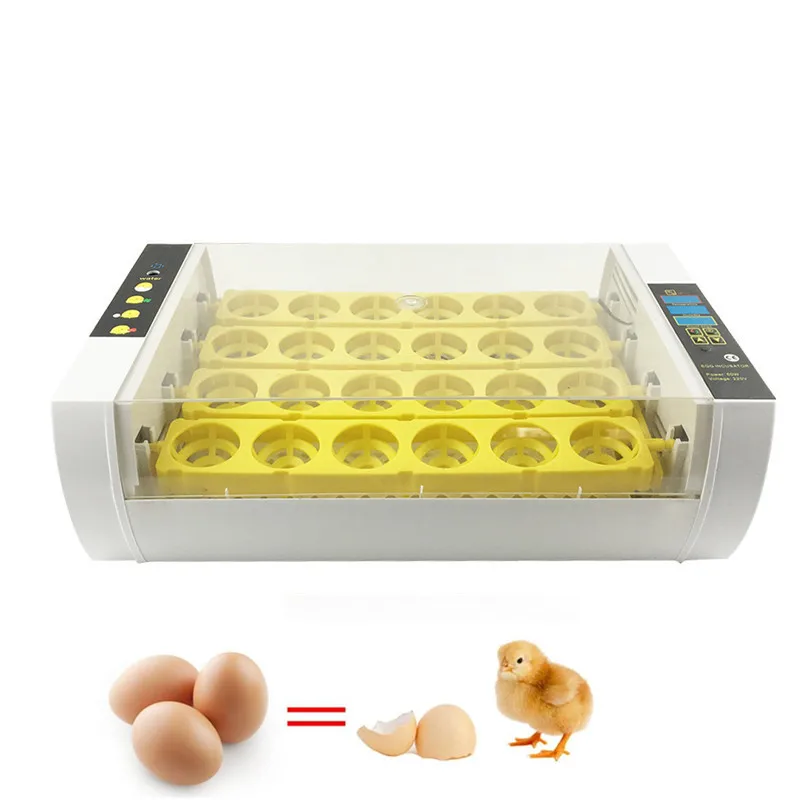 

Household mini incubator for quail chicken duck goose eggs hatching machine egg poultry incubator
