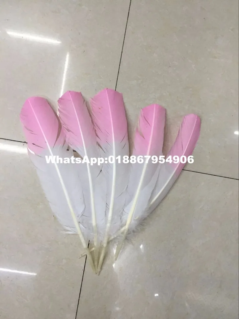 

Factory Sales 500pcs/lot 25~35cm(10~14inch) Length Bleached&Dyed Bicolors white and Pink Turkey Rounds Quill Feathers