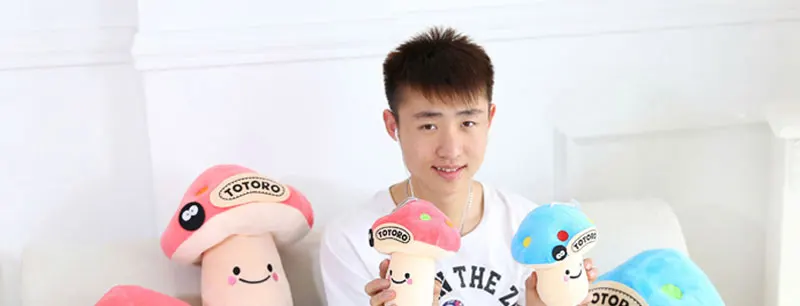 Plush Toys (3)