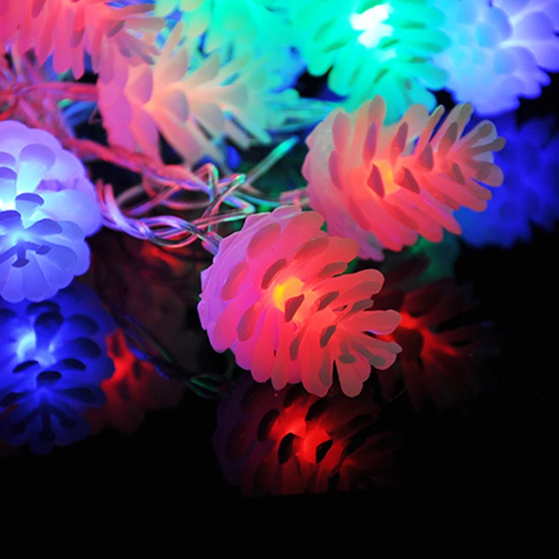 3370188731_1472420902