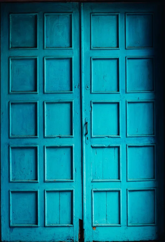 

Laeacco Old Blue Wooden Door Portrait Scene Party Photography Backgrounds Customized Photographic Backdrops For Photo Studio