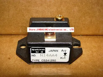 

CS241250