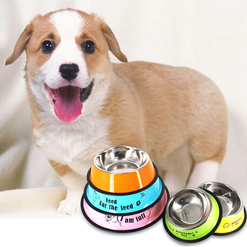 pet bowl (2)