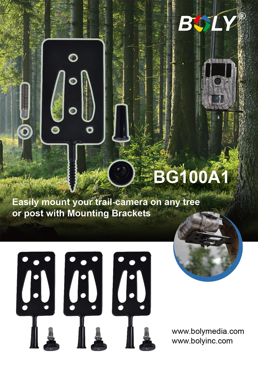BG100A1-des