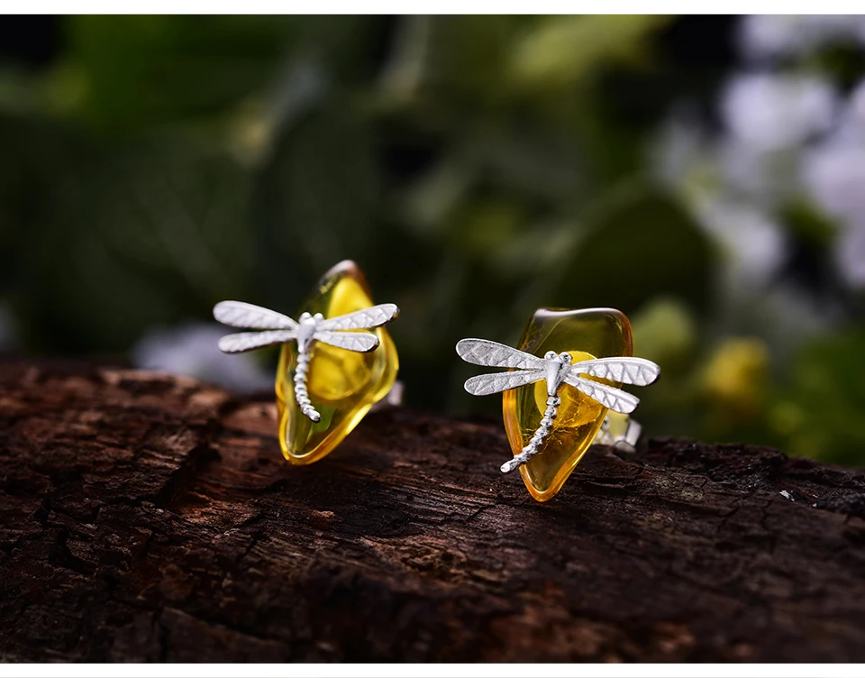 Cute-Dragonfly-LFJA0052_04