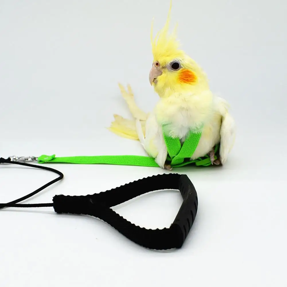 Тренировочный Летающий канат для попугая, портативный регулируемый поводок, тренировочный канат для активного отдыха, анти-укус, принадлежности для обучения домашних животных