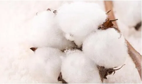 HTB1k8hWKVXXXXcuXXXXq6xXFXXX7