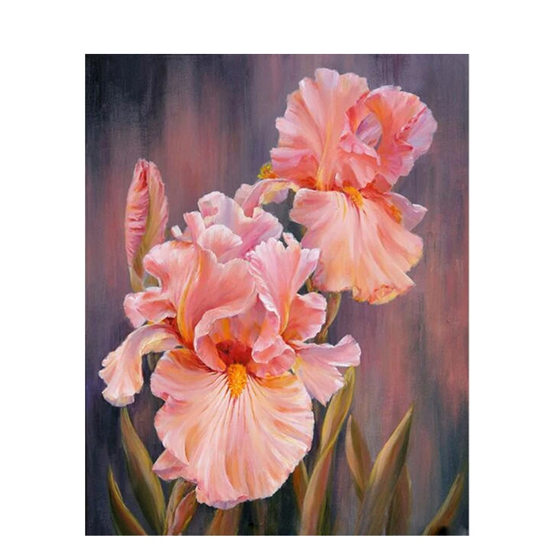 

Painting By Numbers DIY Dropshipping 40x50 50x65cm Enchanting red dream flower Flower Canvas Wedding Decoration Art picture Gift