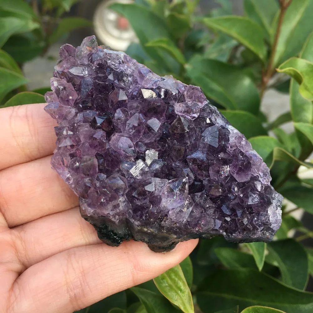 IMG_3020