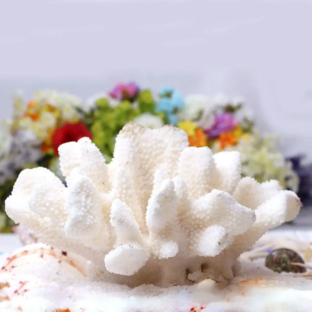 Buy Natural White Coral Rock Branch