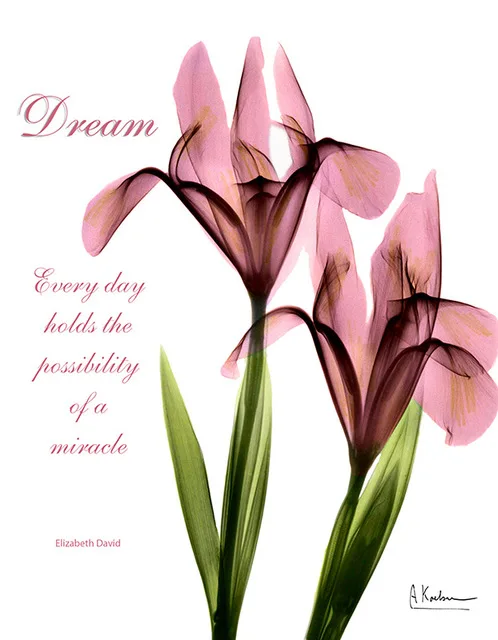 Purple-Flower-Canvas-Painting-Oil-Paint-Pink-Floral-Photo-Home-Decoration-Long-Stem-Leaf-Prints-Office.jpg_640x640 (1)