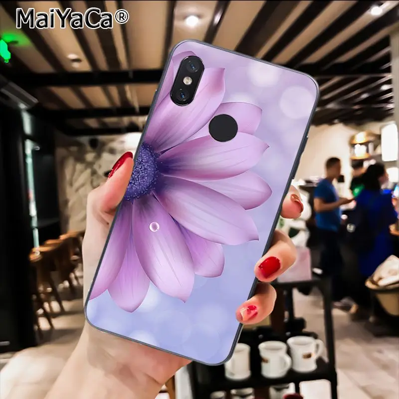 infinity on purple  Flower