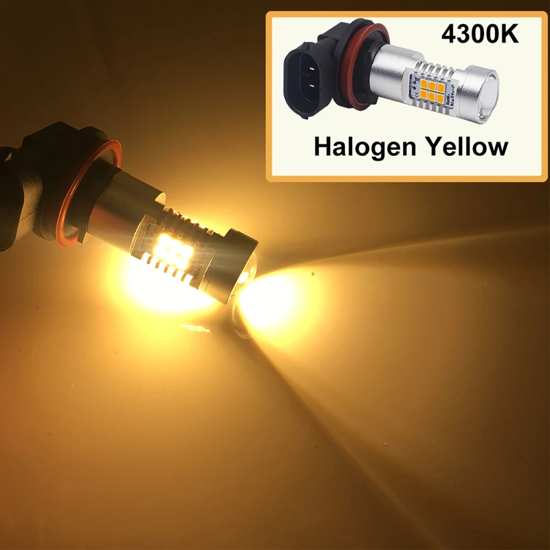 Halogen Y