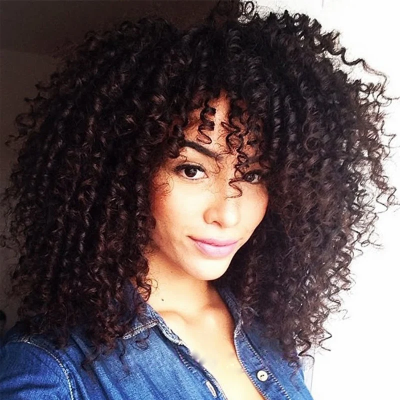 Kinky Curly Afro Wig Long Kinky Curly Wigs for Black Women Black Hair