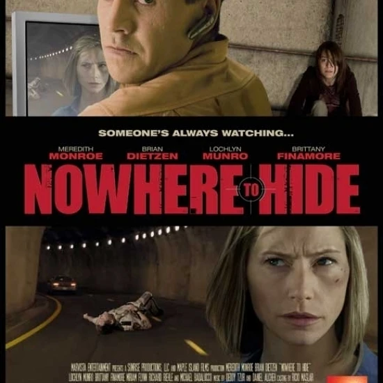 Nowhere to Hide Movie Poster (11 x 17)