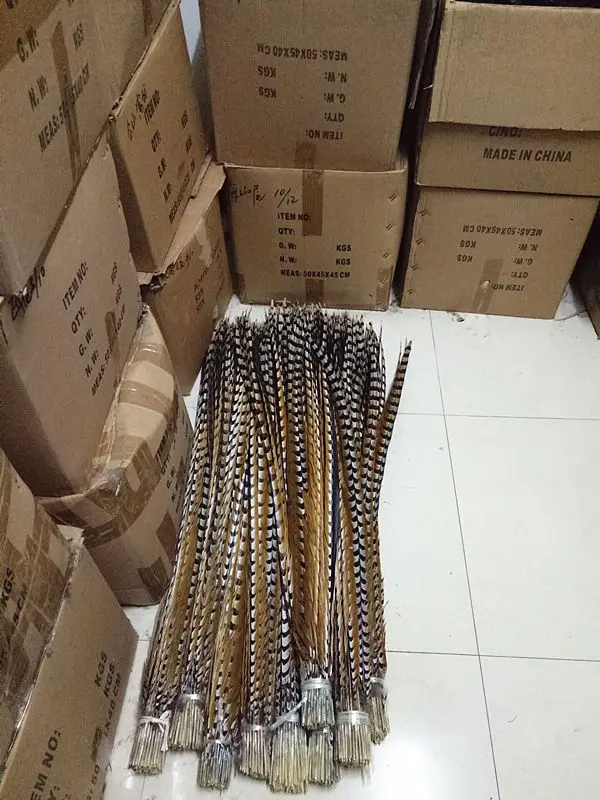 44B6AC66BED544E265B8AFFB85A768E0