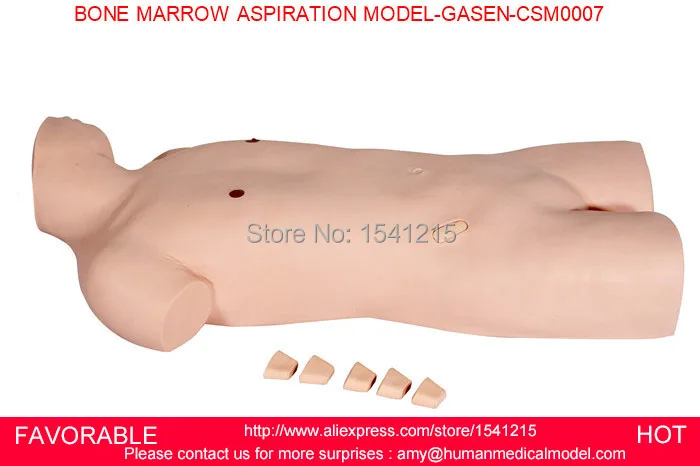 

MEDICAL TRAINING MODEL NURSING MODEL MEDICAL TRAINING MANIKINS MEDICAL SIMULATION BONE MARROW ASPIRATION MODEL-GASEN-CSM0007