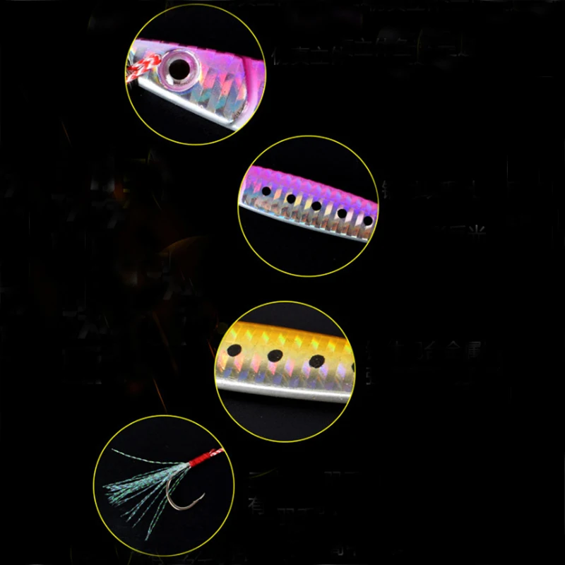 8543645631_47431761